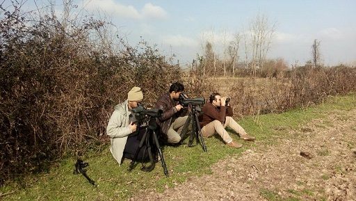2.سرشماری زمستانه پرندگان در لاهیجان انجام شد